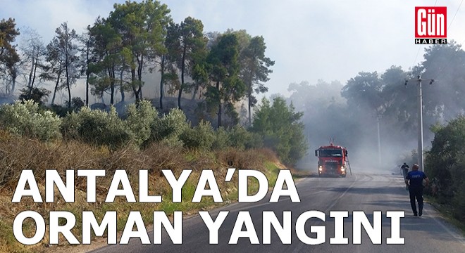 Antalya'da orman yangını
