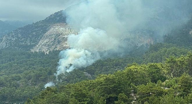 Antalya'da orman yangını büyümeden söndürüldü