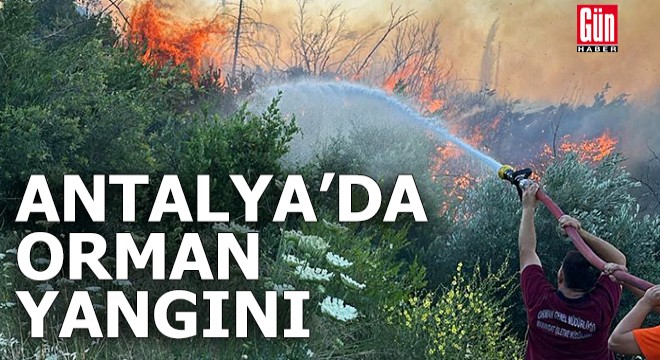 Antalya'da orman yangını kontrol altında