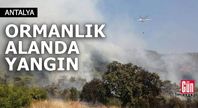 Antalya'da ormanlık alanda yangın!