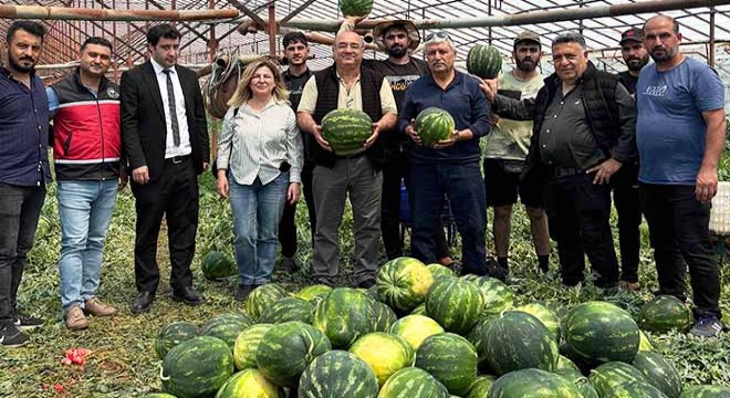 Antalya'da örtü altı üretimde 37 bin ton karpuz beklentisi