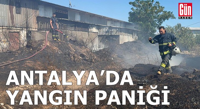 Antalya'da ot- çalılık yangını
