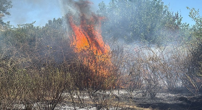 Antalya'da ot yangını rüzgarın etkisiyle yayıldı