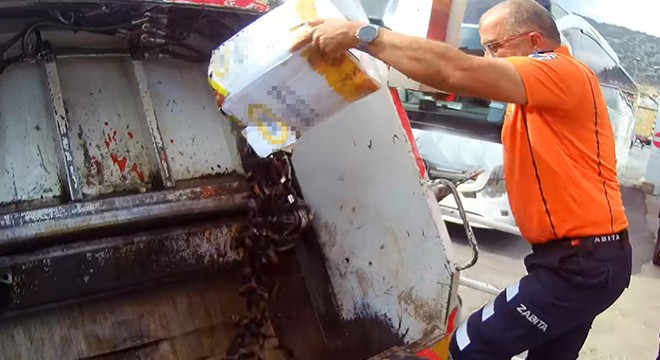 Antalya'da otobüsle taşınan 50 kilo midye imha edildi