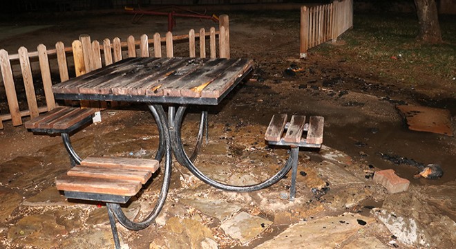 Antalya'da parktaki yangın korkuttu
