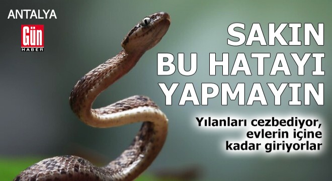 Antalya'da sakın bu hatayı yapmayın! Yılanları cezbediyor
