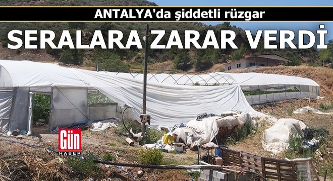 Antalya'da şiddetli rüzgar seralara zarar verdi
