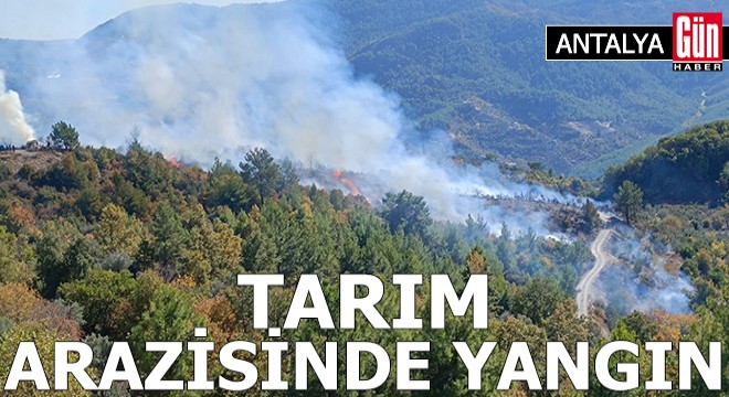 Antalya'da tarım arazisinde yangın