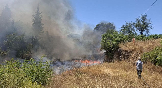 Antalya'da tarım arazisinde yangın çıktı