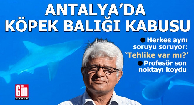 Antalya'da tatilcilerden profesöre 'köpek balığı' sorusu