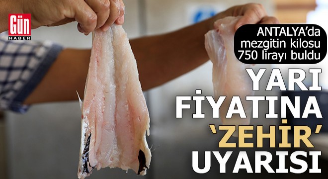 Antalya'da ucuz balık için 'zehir' uyarısı