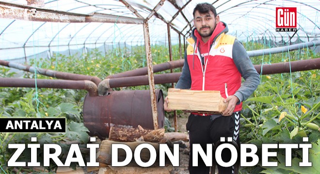 Antalya'da üreticiler don nöbetinde