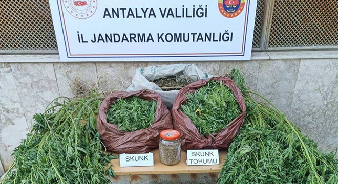 Antalya'da uyuşturucu operasyonu