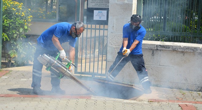 Antalya'da vektörel mücadele 4 koldan yürütülüyor