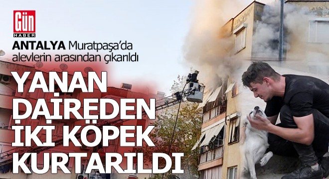 Antalya'da yanan dairedeki iki köpeği itfaiye kurtardı