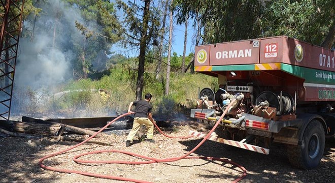 Antalya'da yangın ormana sıçramadan söndürüldü