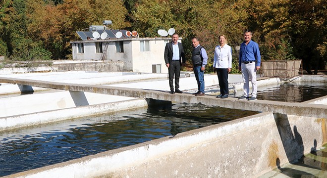 Antalya'da yılda 80 ton alabalık üretiyorlar