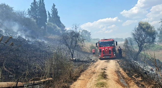Antalya'da yol kenarında başlayan yangın söndürüldü