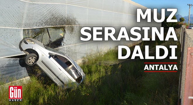 Antalya'da yoldan çıkan otomobil muz serasına daldı