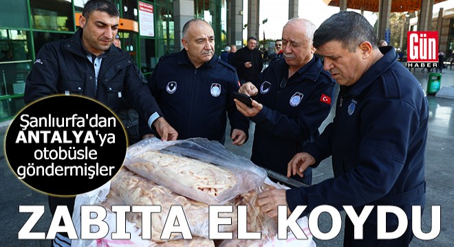 Antalya'da zabıta otobüsle gönderilen 300 kilo sakatata el koydu