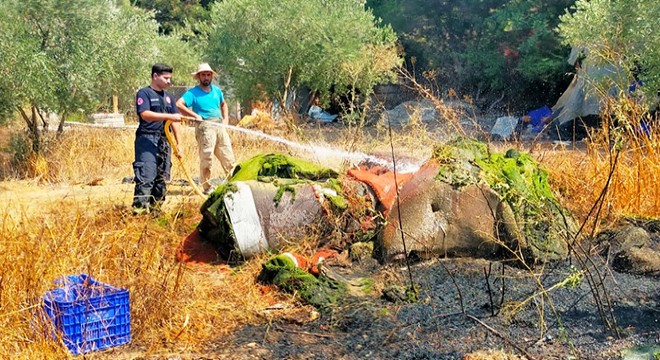 Antalya'da zeytin bahçesi yangında zarar gördü