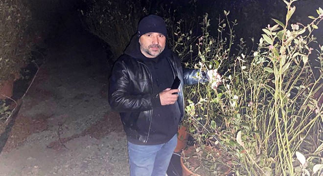 Antalya'da zirai dona karşı dumanlı mücadele