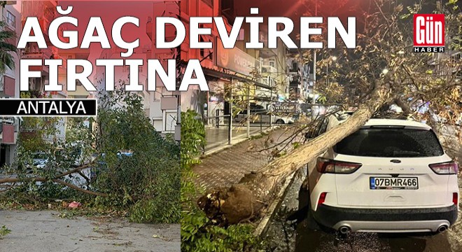 Antalya'daki fırtına sera yıktı, çatı uçurdu, ağaç devirdi