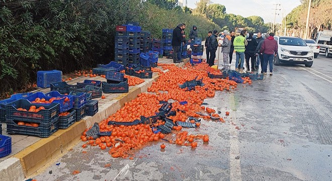 Antalya'daki kazada domatesler yola saçıldı