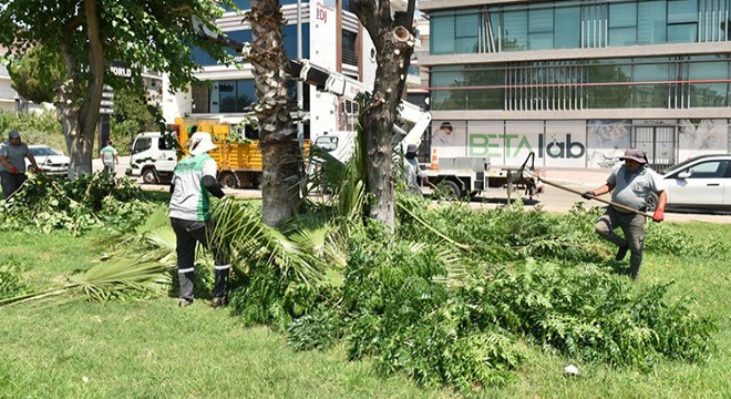 Antalya'daki ‘metruk' tehlikeye ince temizlik