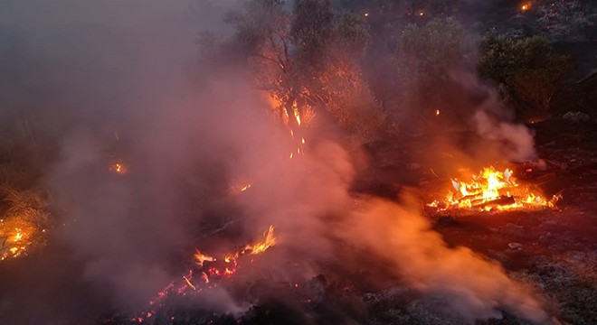 Antalya'daki yangınlardan 2'si söndürüldü, 1'i kontrol altında