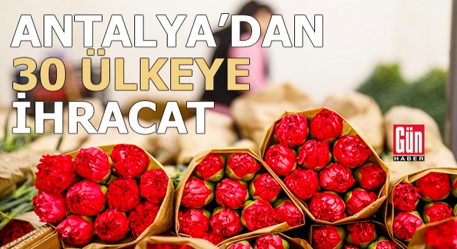 Antalya'dan 30 ülkeye 75 milyon dal çiçek ihracatı