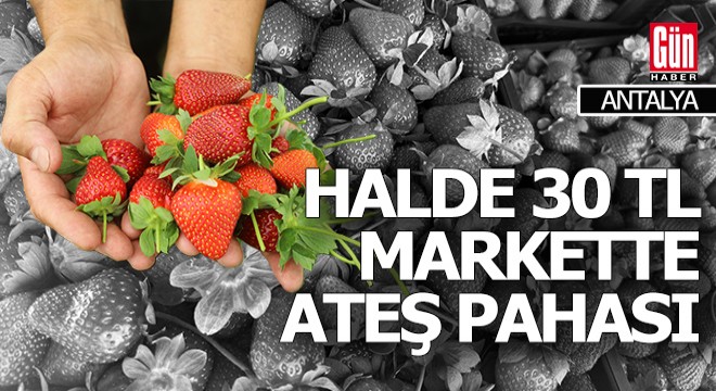 Antalya halinde 30 TL, markette ateş pahası