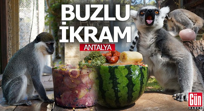 Antalya'nın Doğal Yaşam Parkı'nda buzlu meyve kokteyli