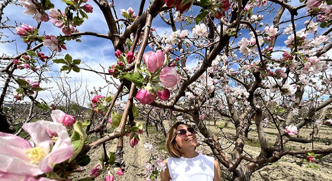 Antalya'nın çiçek şöleni