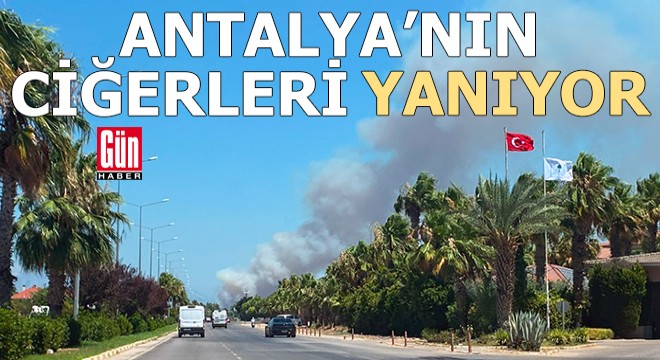 Antalya'nın ciğerleri yanıyor