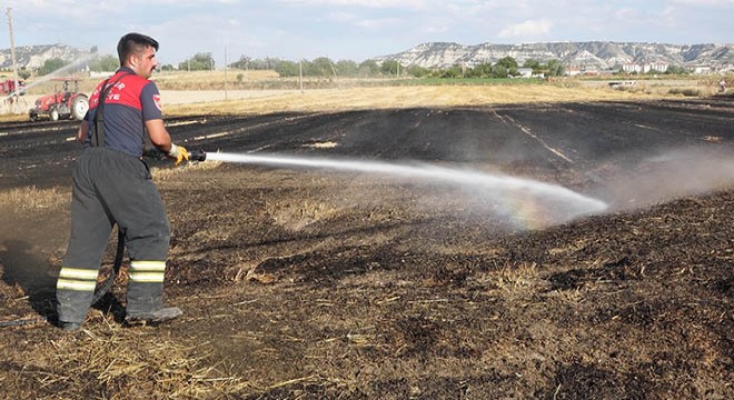 Arpa tarlasında yangın