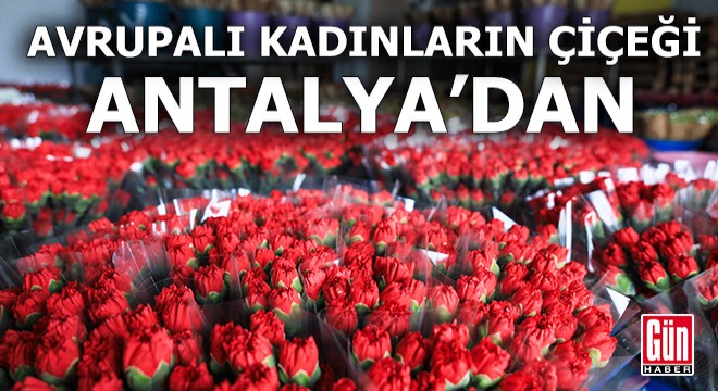 Avrupalı kadınların çiçeği Antalya'dan