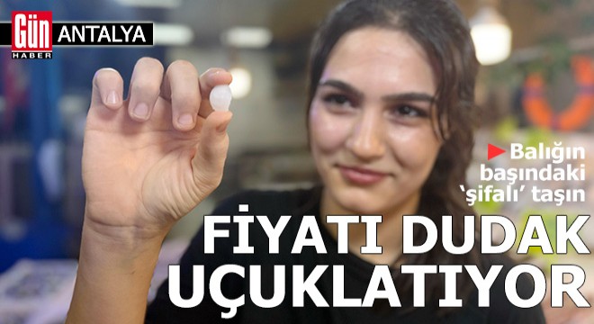 Balığın başındaki 'şifalı' taşın fiyatı dudak uçuklatıyor
