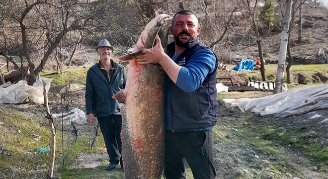 Baraj gölünde 47 kiloluk yayın balığı yakaladı