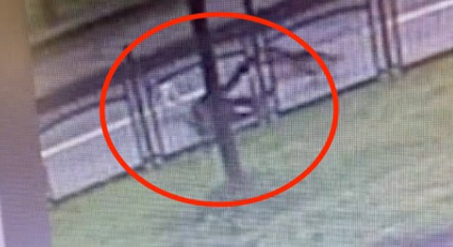 Başıboş köpeklerin saldırısına uğradı