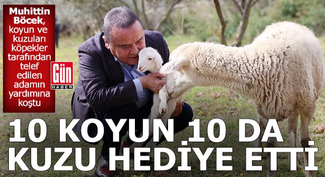 Başkan Böcek'ten 10 koyun, 10 kuzu hediye