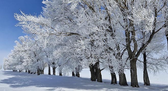 Batıda bahar, doğuda zemheri soğukları