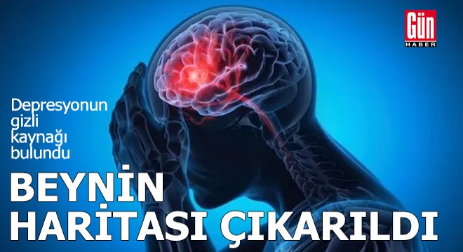 Beynin 3 boyutlu haritası çıkarıldı