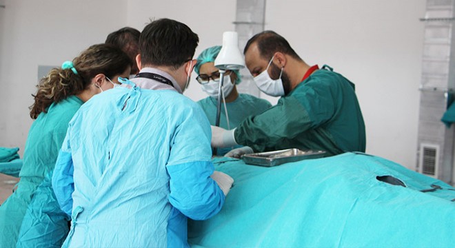 Bilim için 'kadavra gönüllüsü' aranıyor