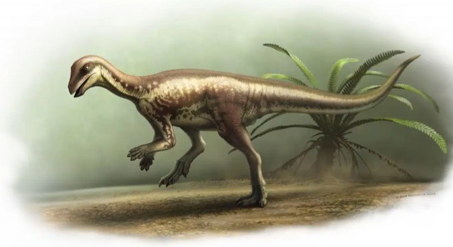 Bilim insanlarından yeni tür keşfi: Köpek benzeri dinozor
