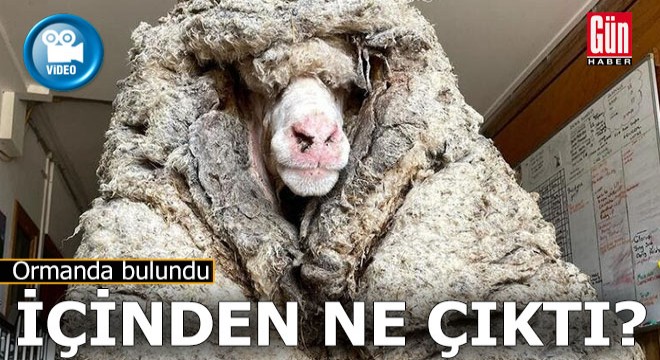 Böyle bulundu... Kırkılınca içinden bakın ne çıktı?..