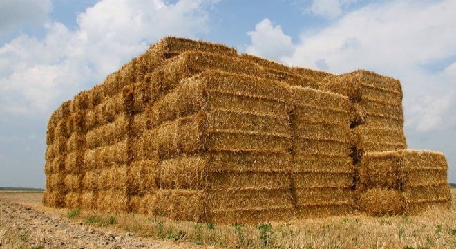 Bucak'ta 200 balya saman yandı