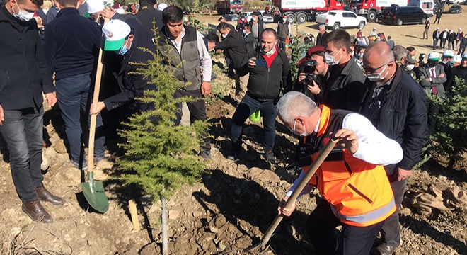 Bucak'ta 5 bin fidan toprakla buluştu