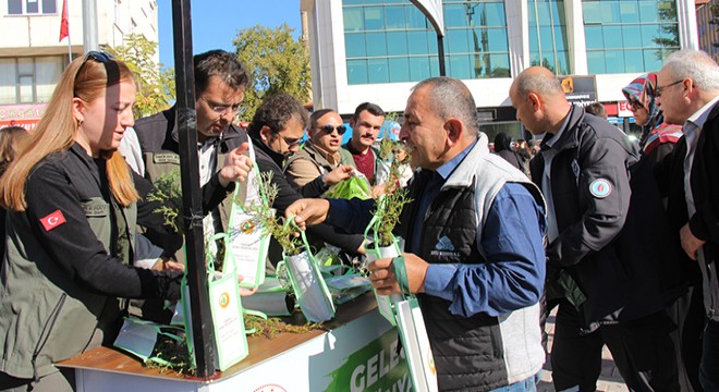 Bucak'ta 7 bin fidan 15 dakikada dağıtıldı