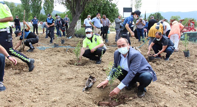 Bucak'ta badem fidanları toprakla buluştu